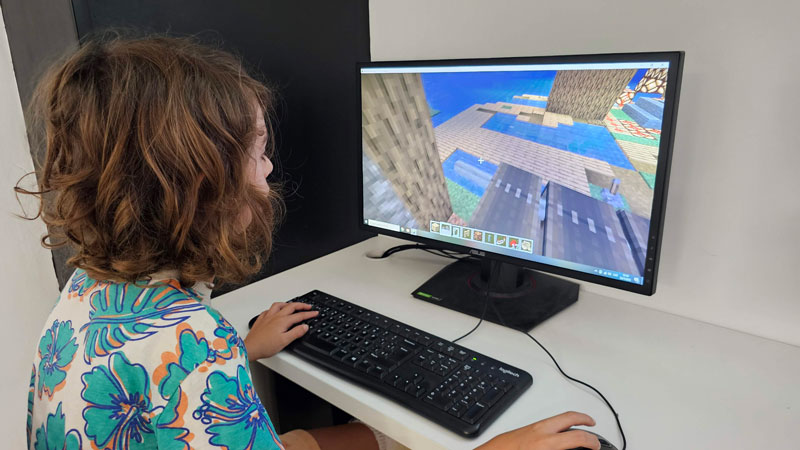 Programació a Minecraft